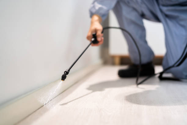 Bed Bug Pre-Treatment Preparation Assessment in Prairieville
