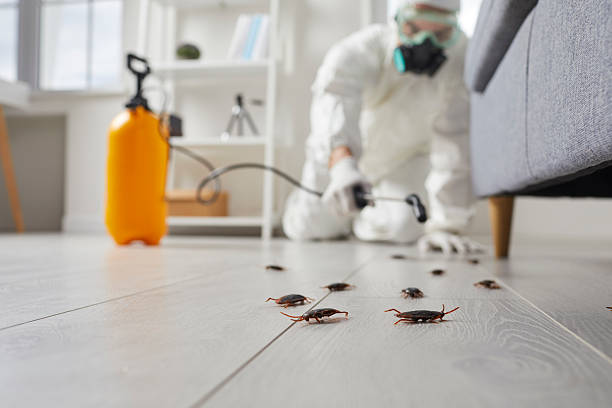 Post-Treatment Bed Bug Interceptor Monitoring in Prairieville