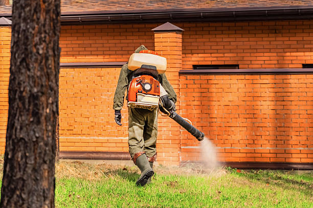 Bed Bug Clearance Verification and Documentation in Prairieville